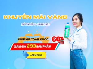 HINH DAI DIEN KHUYEN MAI THANG 11