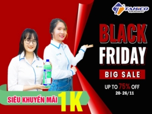 back friday tahico
