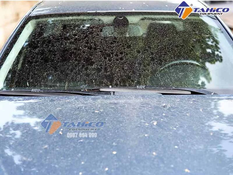 Tinh thể canxi cacbonat kết tủa hình vảy cá bám trên kính lái - TAHICO